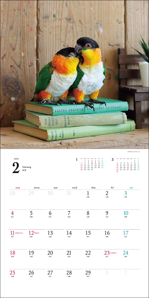 COM. Calendar 2024年サイン入り Amazon.co.jp: 直筆サイン入り 兒玉七海（旧小倉七海）2024年